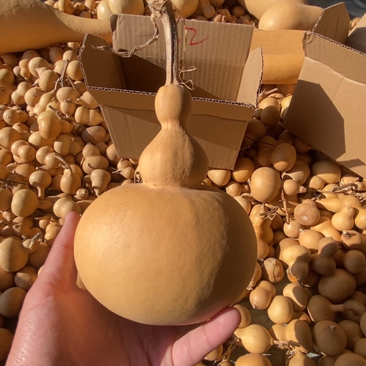 葫芦葫芦葫芦葫芦