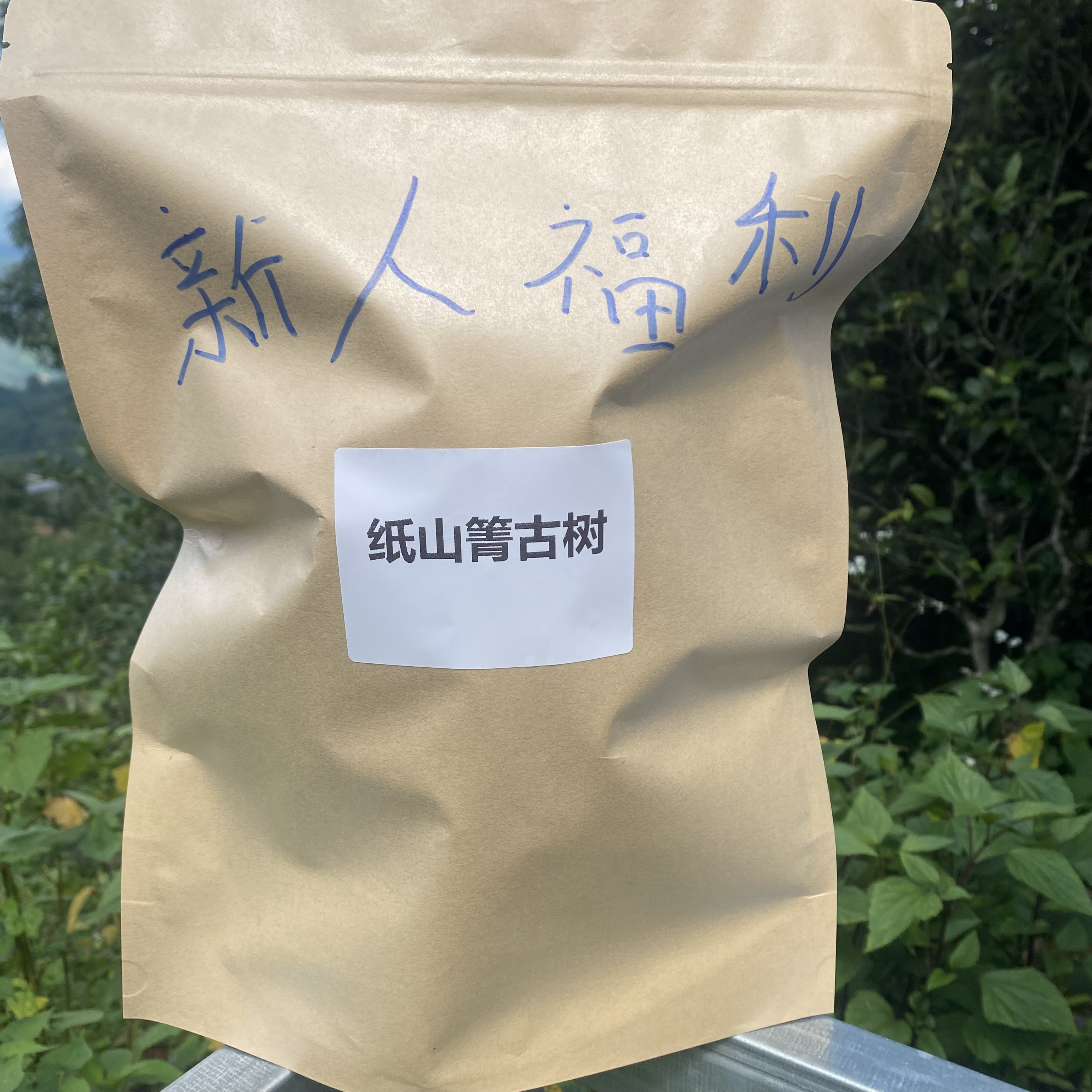 2025年纸山箐古树混采料试喝装，新人试喝