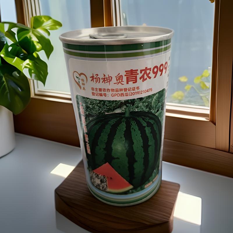 青农999/地雷西瓜耐运输/口感甜爽/糖度高/抗病性强