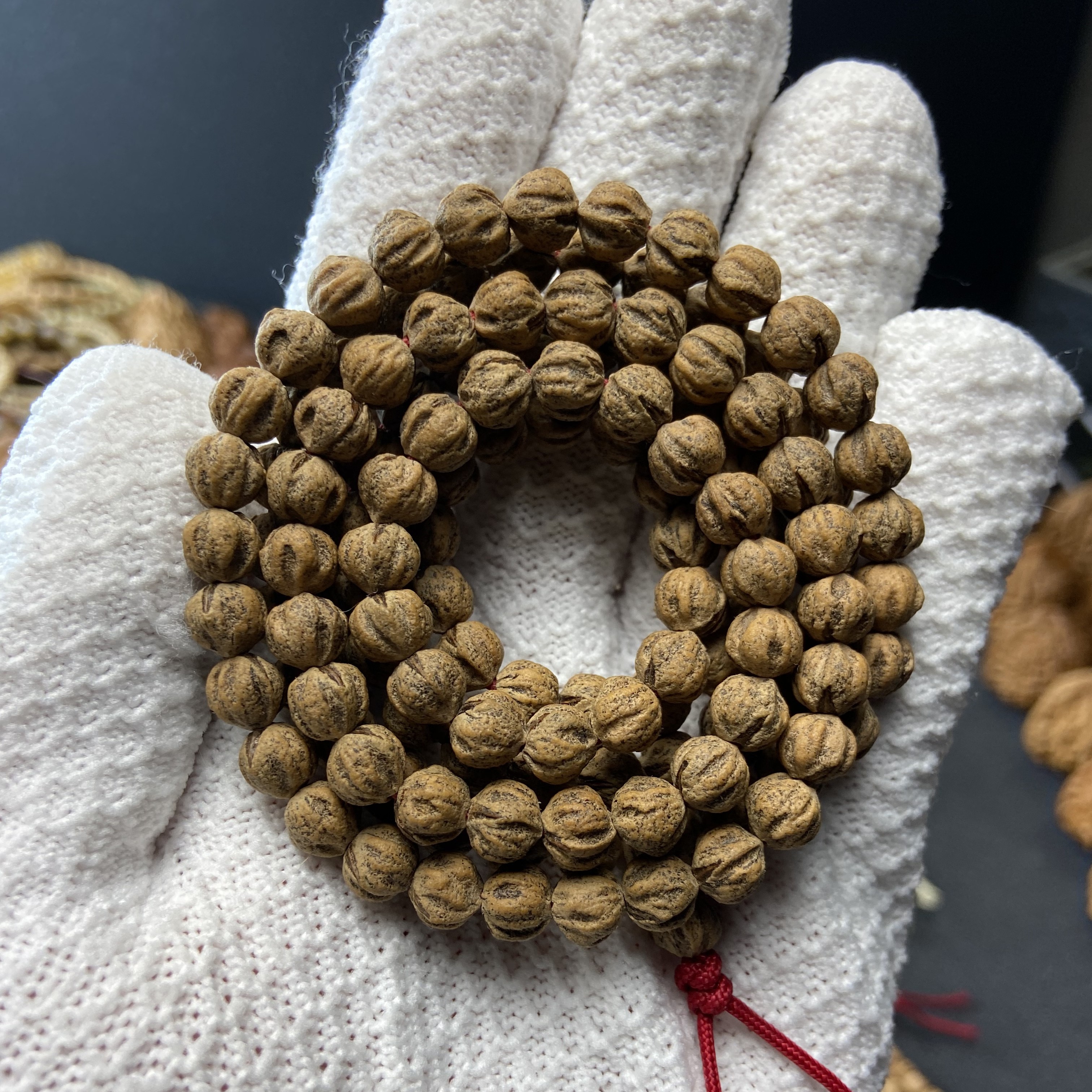 「混元珠」热振红芽原装柏香籽  百年难遇的顶级皮质，籽型圆润饱满