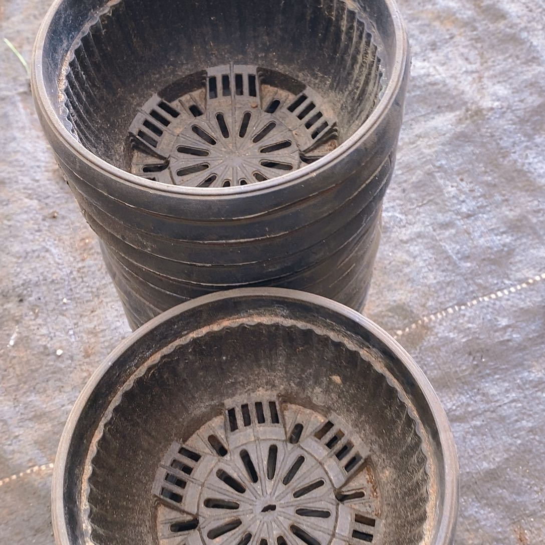 塑料旧14公分黑聚宝盆20个