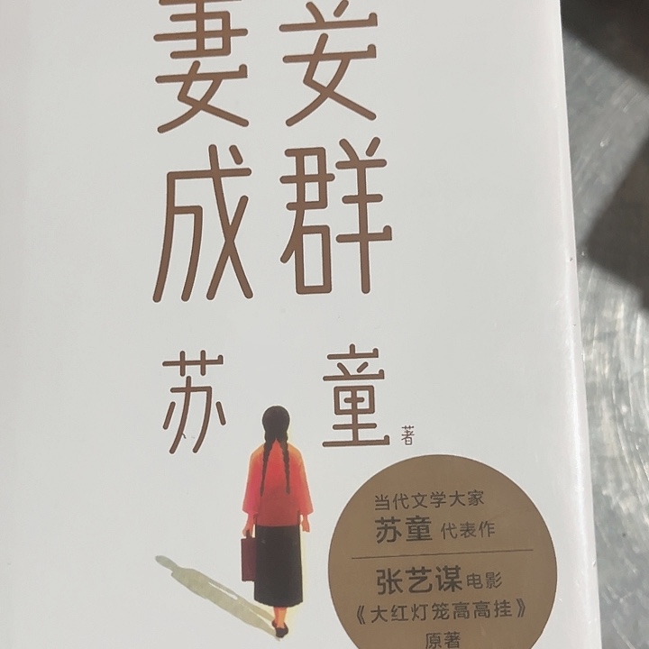 妻妾成群全新精装