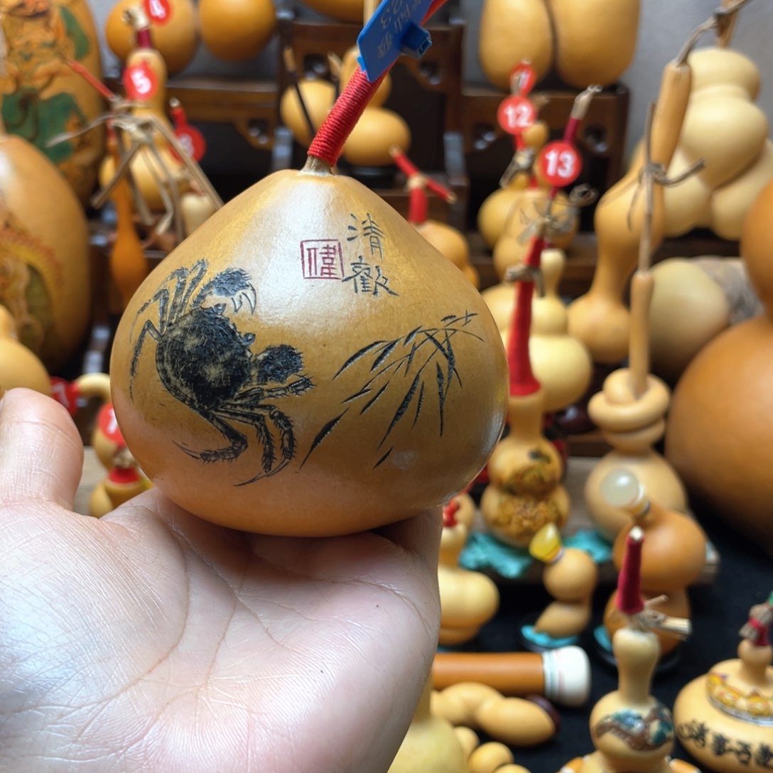轩*大自然的秘密第十一节你是谁