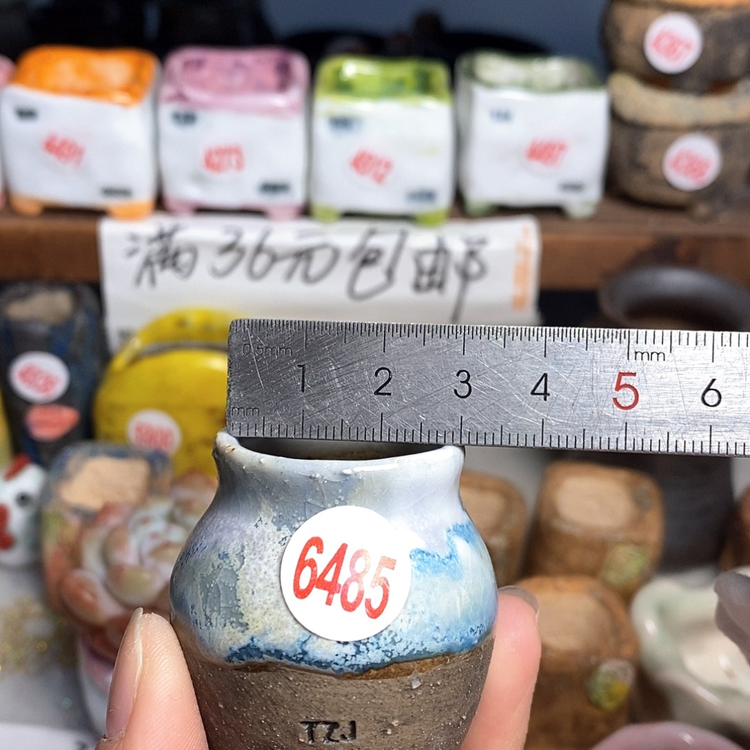 红陶拍5送一个小