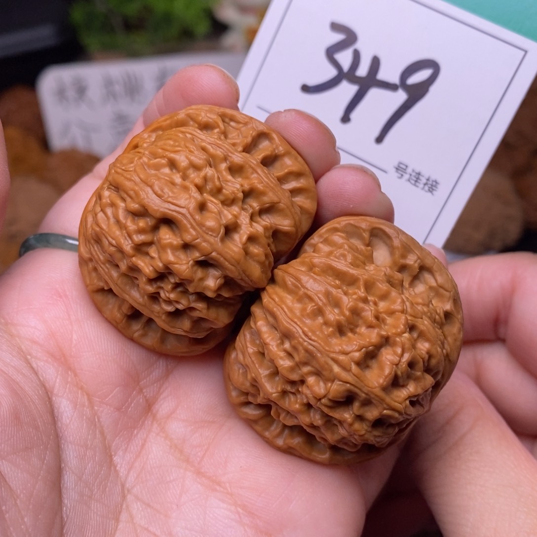 把件文玩核桃349白狮子4.1