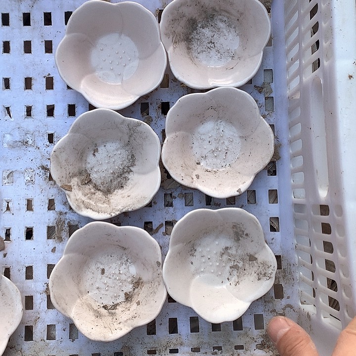 紫砂陶瓷艺术作品欣赏