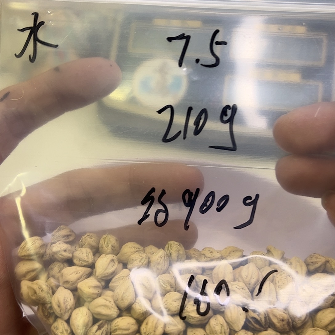 水***渔吊坠柏香籽/百香籽