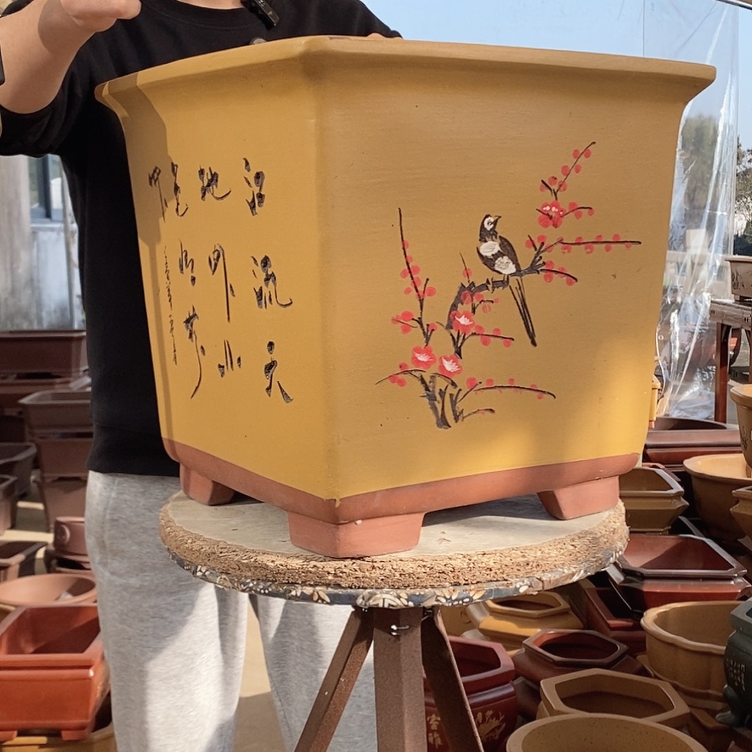 花盆紫砂紫砂花盆