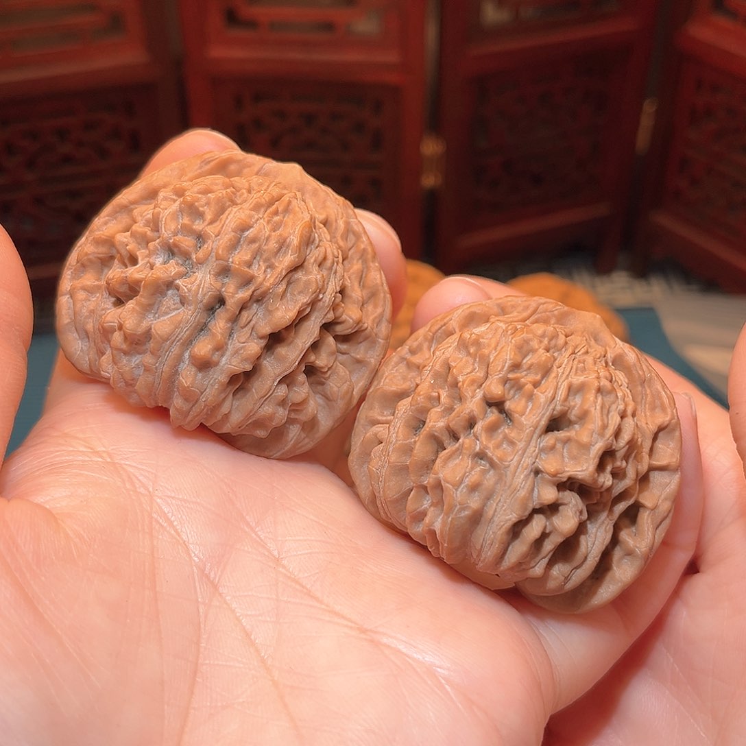 47全品四座楼……精品