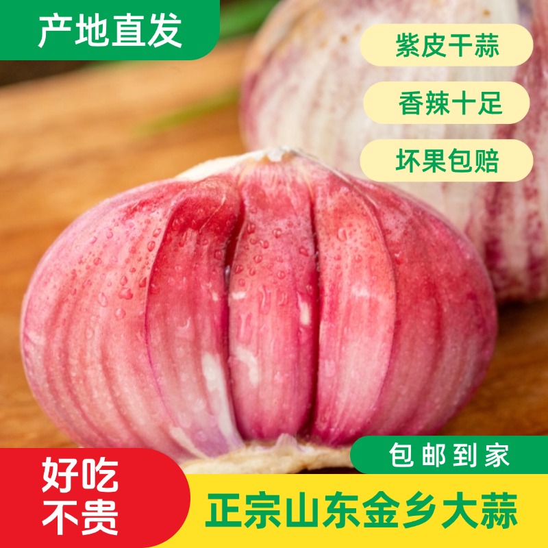 山东金乡批发农家干蒜饱满紫白皮辛辣提香大蒜蒜头（大果）
