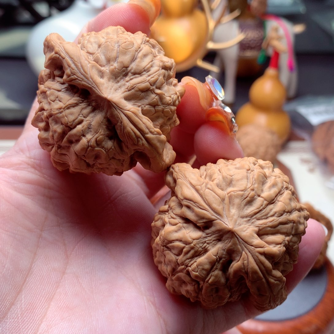 文玩核桃把件龙鼎全品  1号