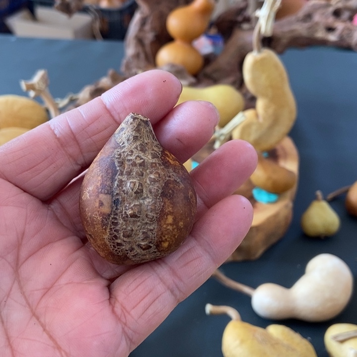 赵***天sdhdisododds