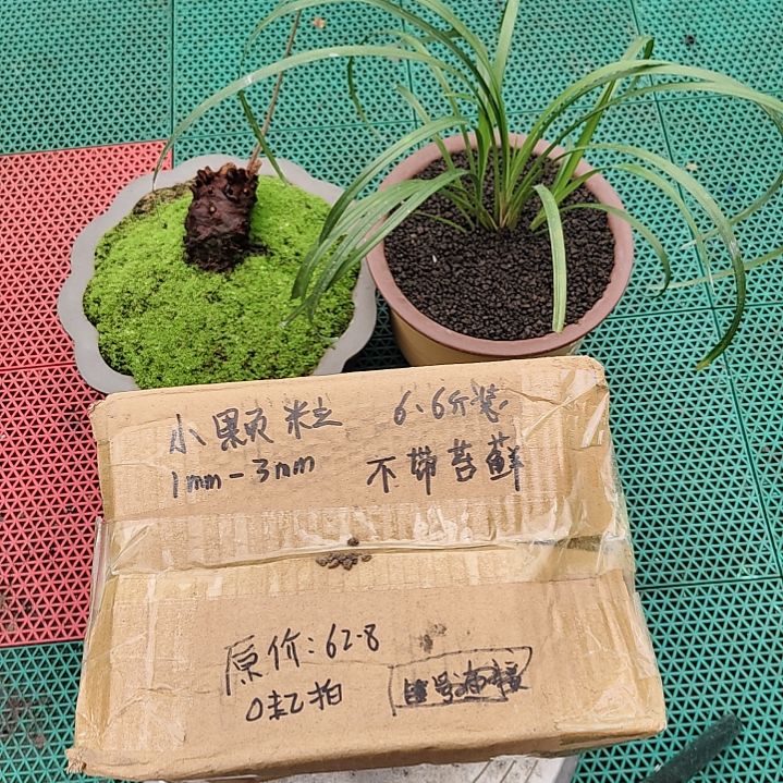 旮***旯兰菌黑山土小颗粒6.6斤