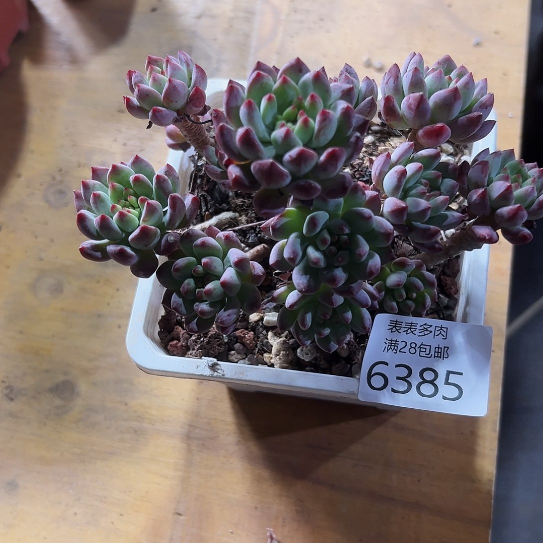9号我们的确是一6385