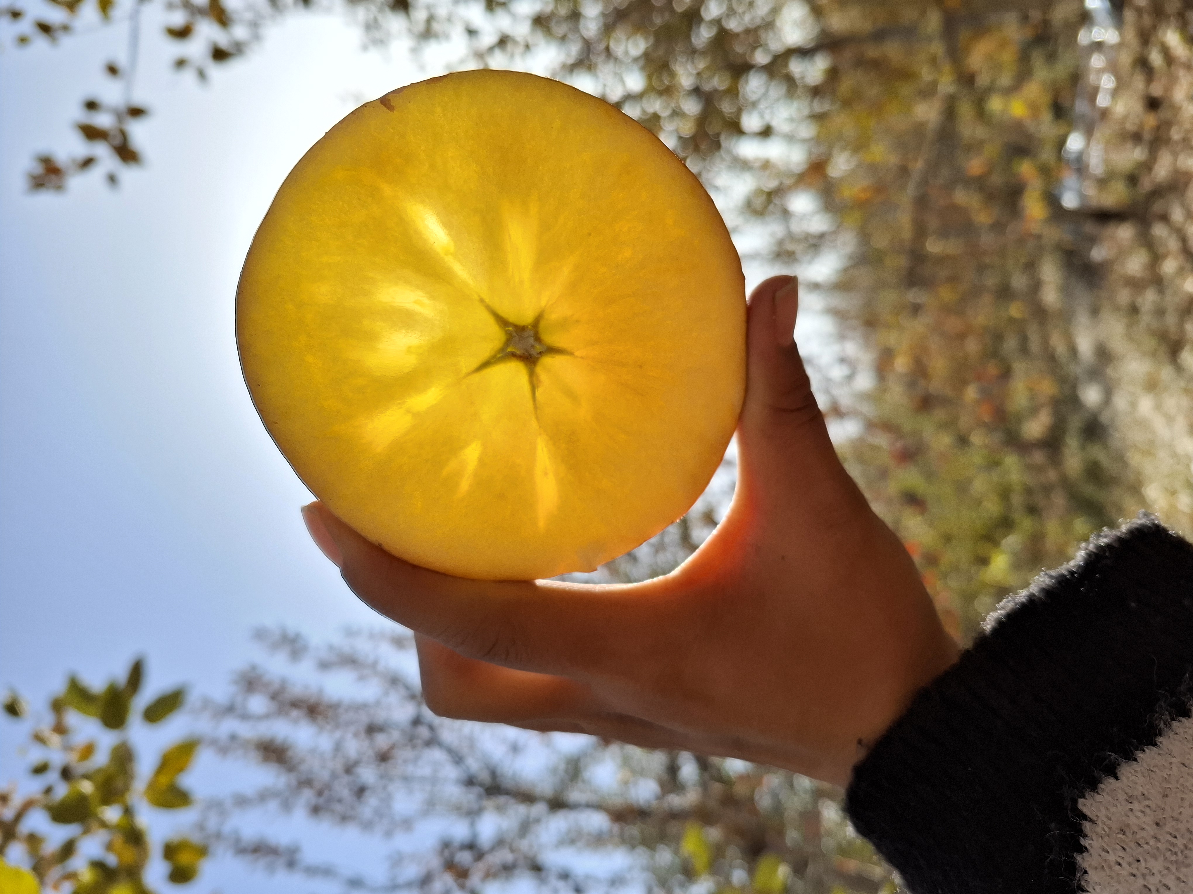 【光果礼盒】阿克苏冰糖心苹果脆甜多汁新鲜产地直水果发包邮9斤特