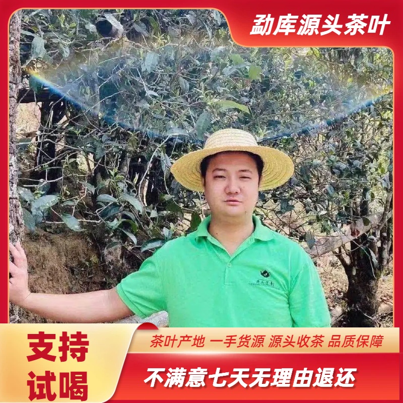[勐库源头茶叶]藏级茶，有问题联系客服（勿拍！！！）
