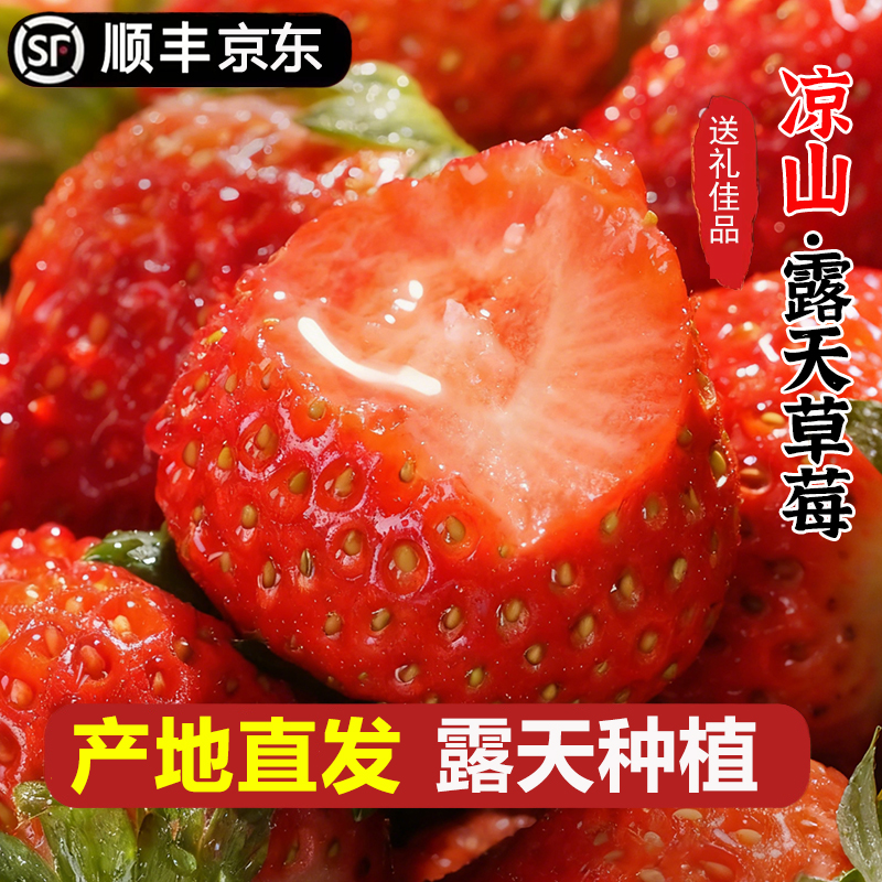 【基地直发】LZ高山露天种植红颜奶油草莓水果顺丰京东包邮2-4盒