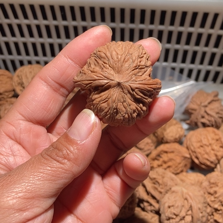 合***实核桃磨盘尺寸44全品