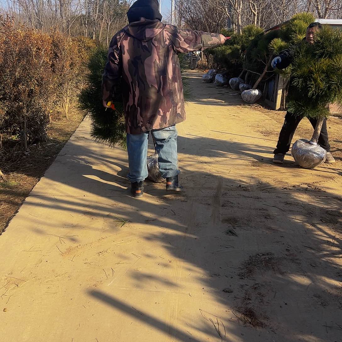 桂**园888888888888888