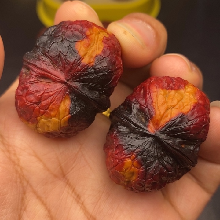 吊坠文玩核桃37尺蛇皮蛙