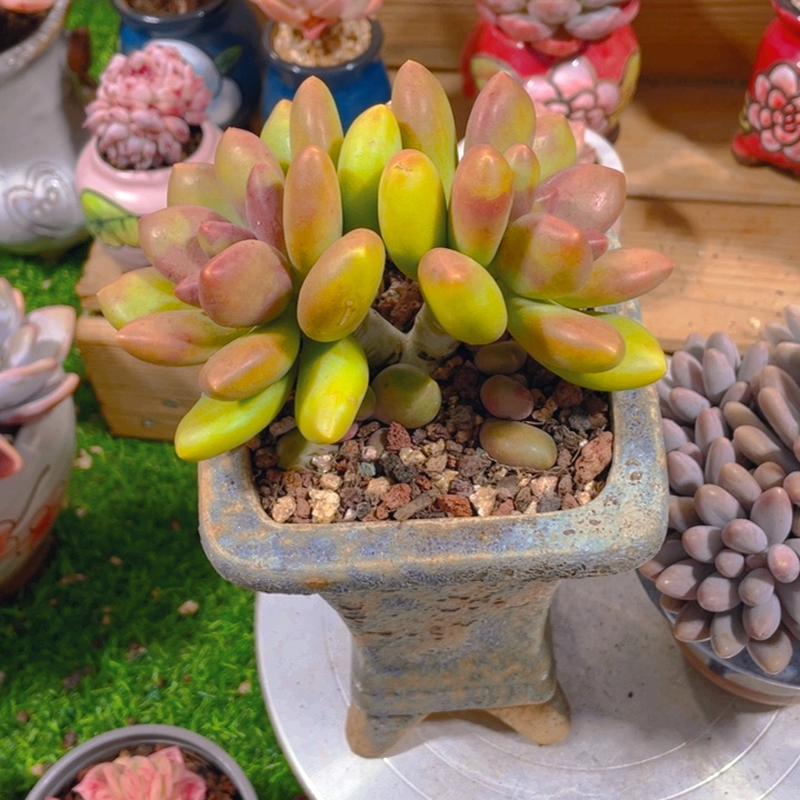 @***W谢谢你的支持00000038