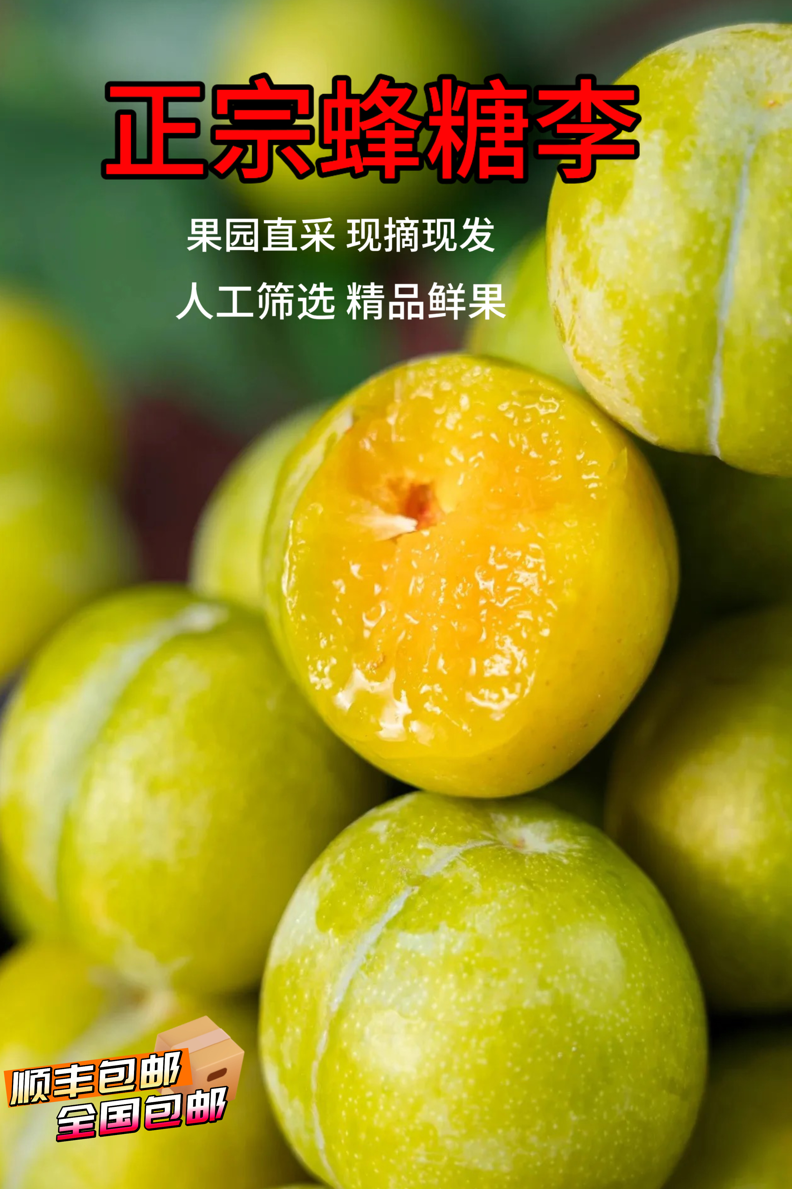 蜂糖李-正宗脆甜多汁产地直发包邮