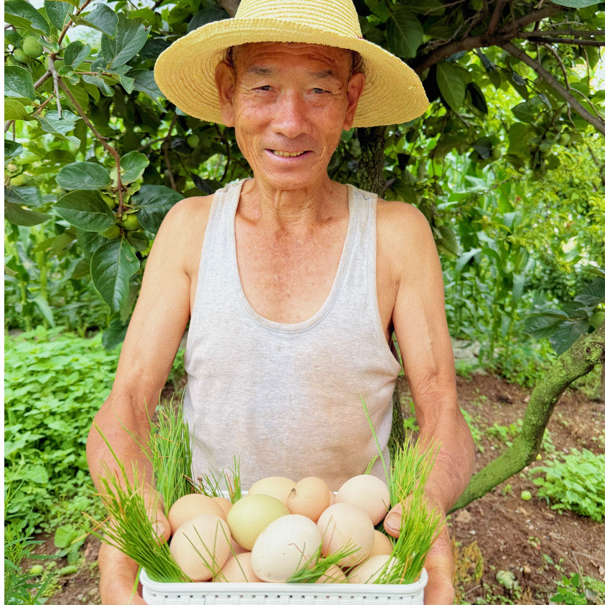散养新鲜土鸡蛋山林纯五谷喂养健康营养  顺丰包邮
