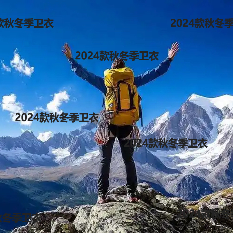 (DZ16)秋冬新款长袖加绒高领男士卫衣2879