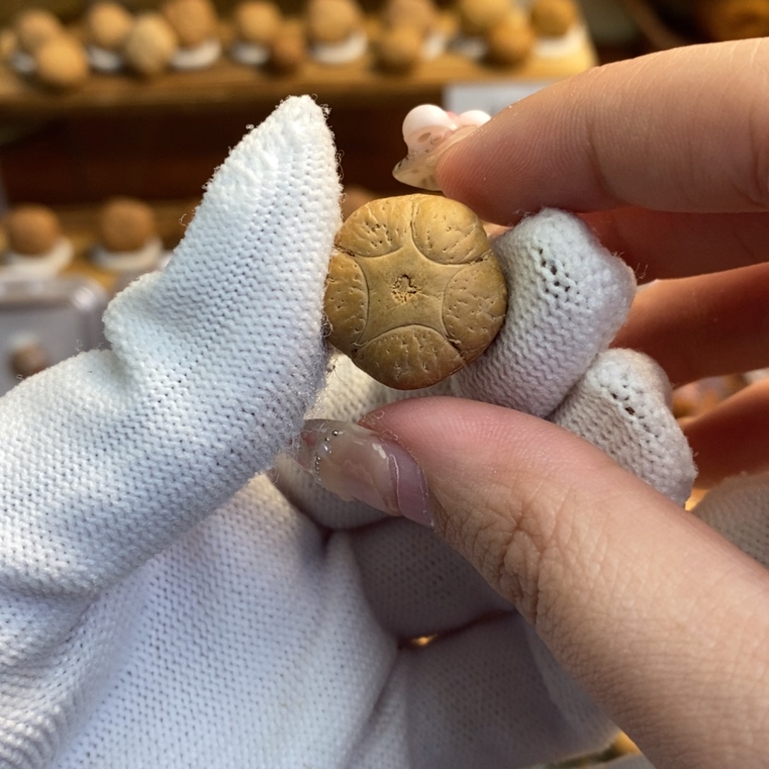 吊坠凤眼菩提五星