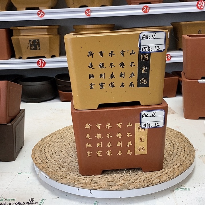 紫砂花盆今天下午