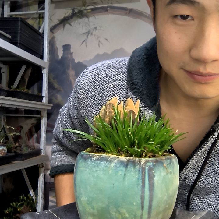 馥***丽中青园艺一物一拍花212