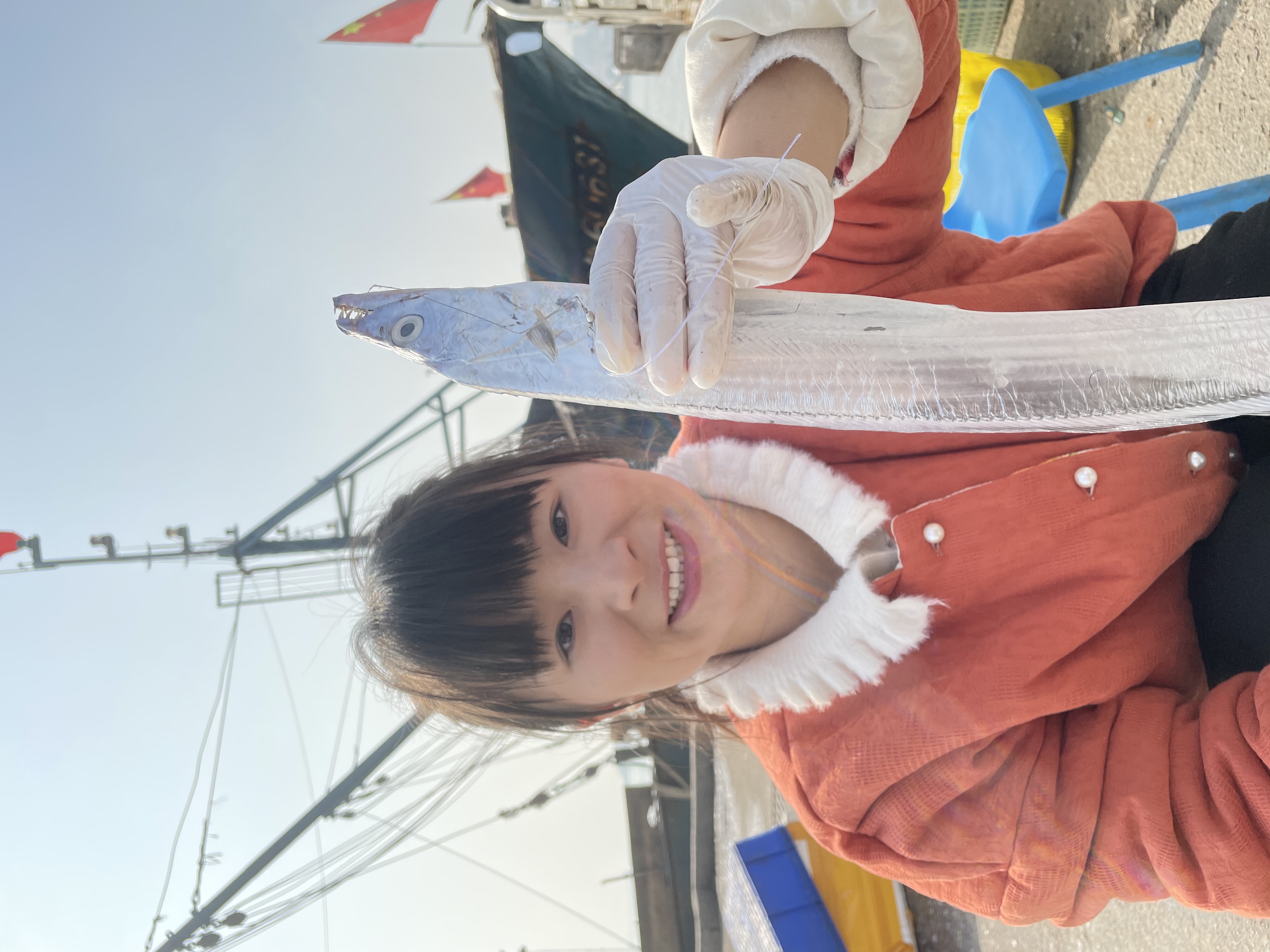 1大带 青岛野生油带鱼拖网捕捞半斤左右9条左右净重4斤  顺丰包邮