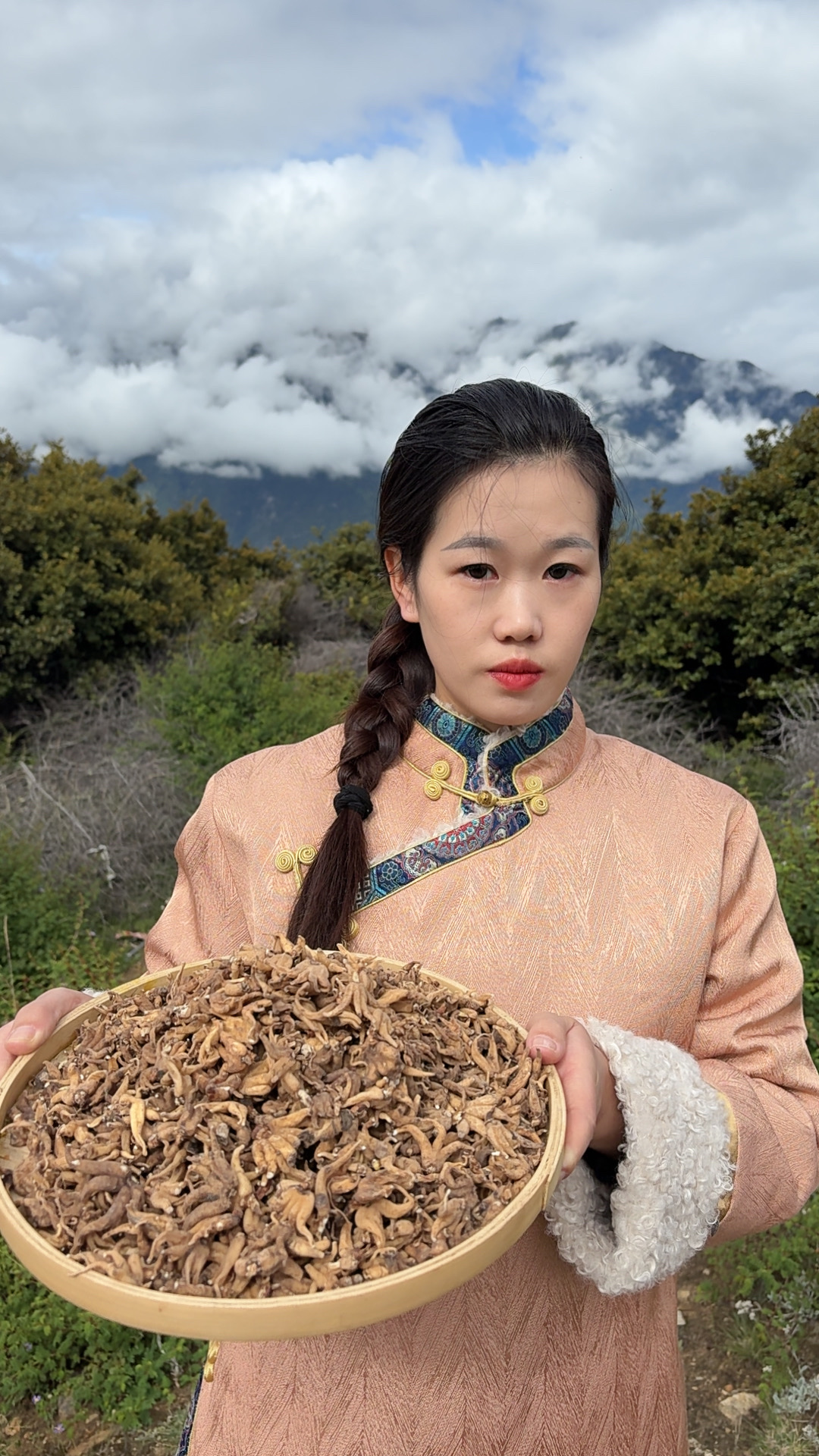西藏高海拔手掌参 雪域山货无添加大个佛手参