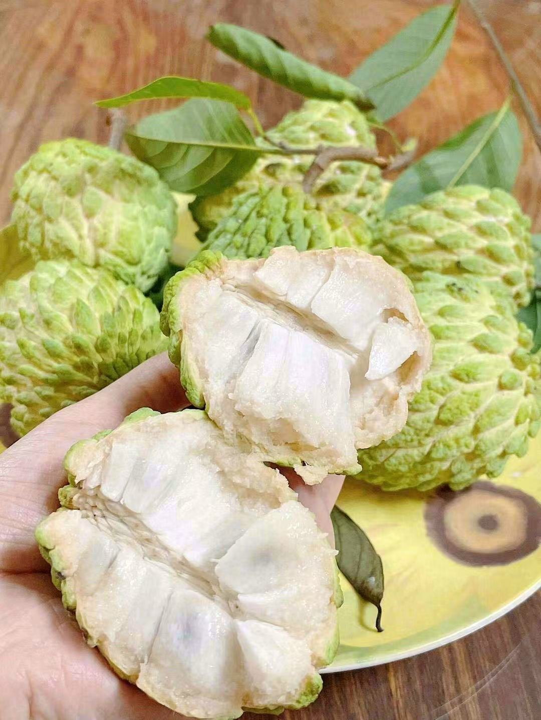 【熟果】释迦果（冰激凌口感）约300克 /1个  可加工（整果上有黑点正常建议勿拍）