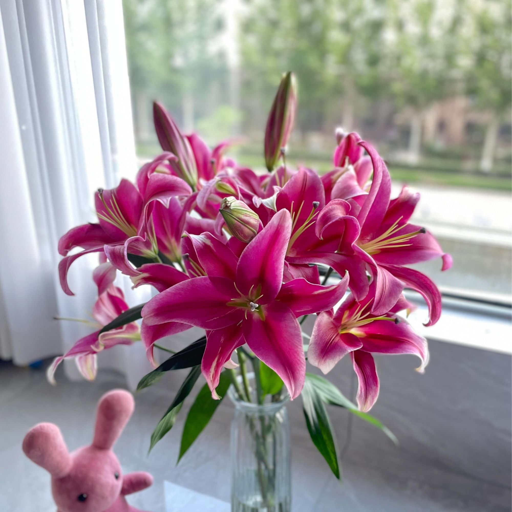 【香水百合2枝+黄天霸2枝+冰美人1枝】全场鲜花云南基地现采直发