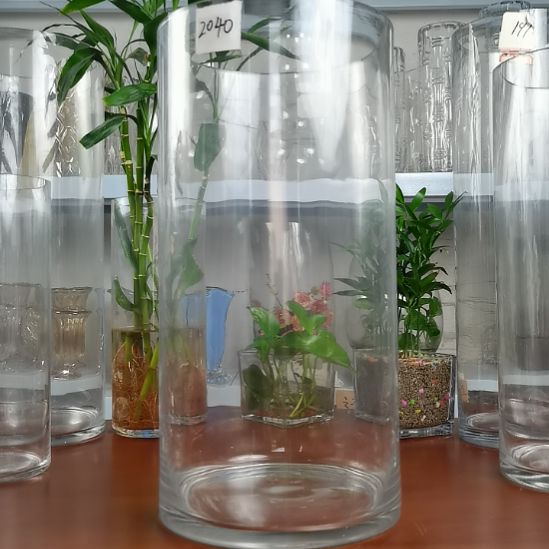 玻璃昌达玻璃直筒高度40口径20