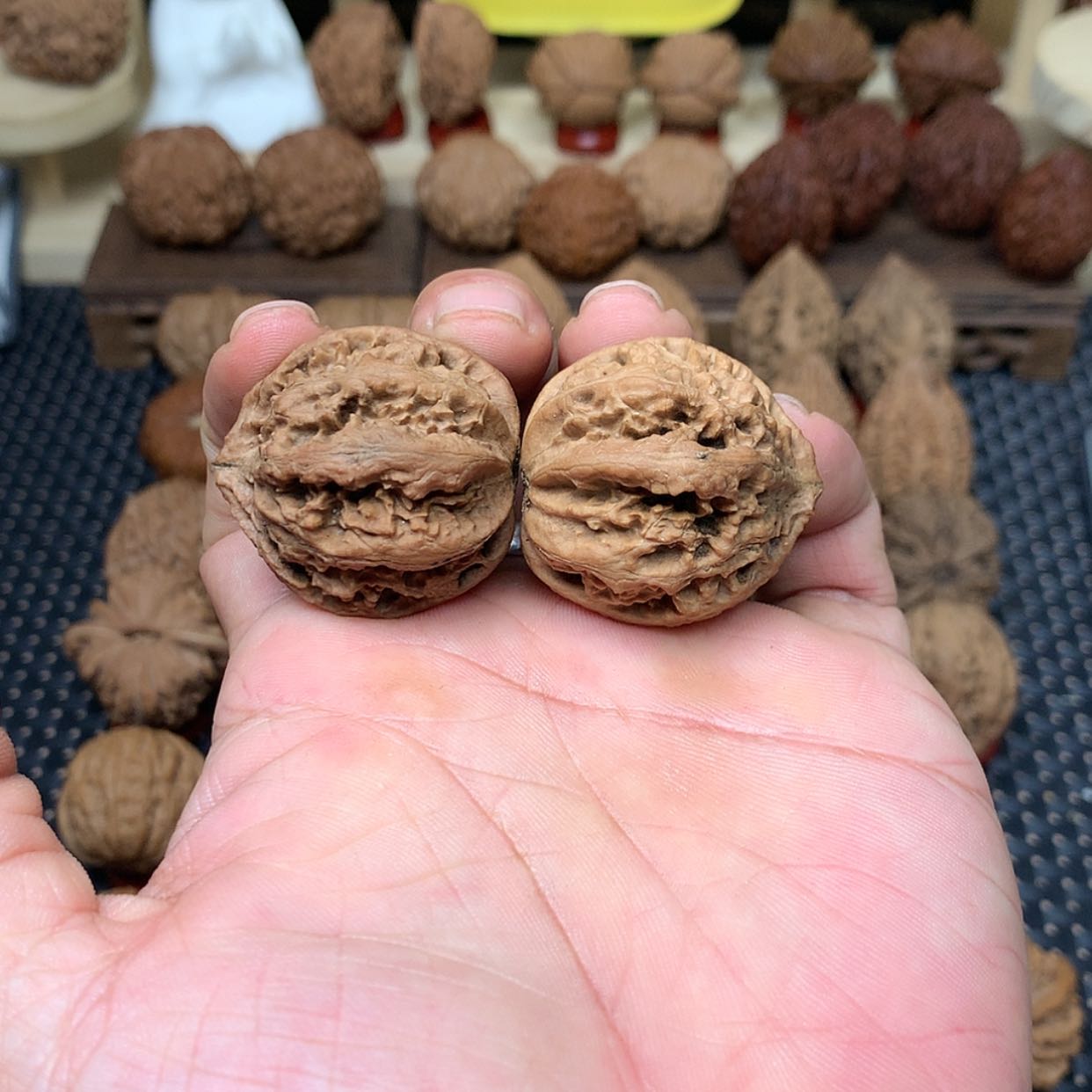 【闪购商品】文玩核桃把件全品吉林霸王丸秋子35.5