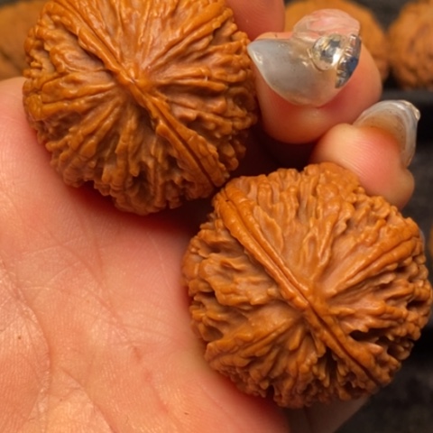 文玩核桃把件秦嶺山脈核桃