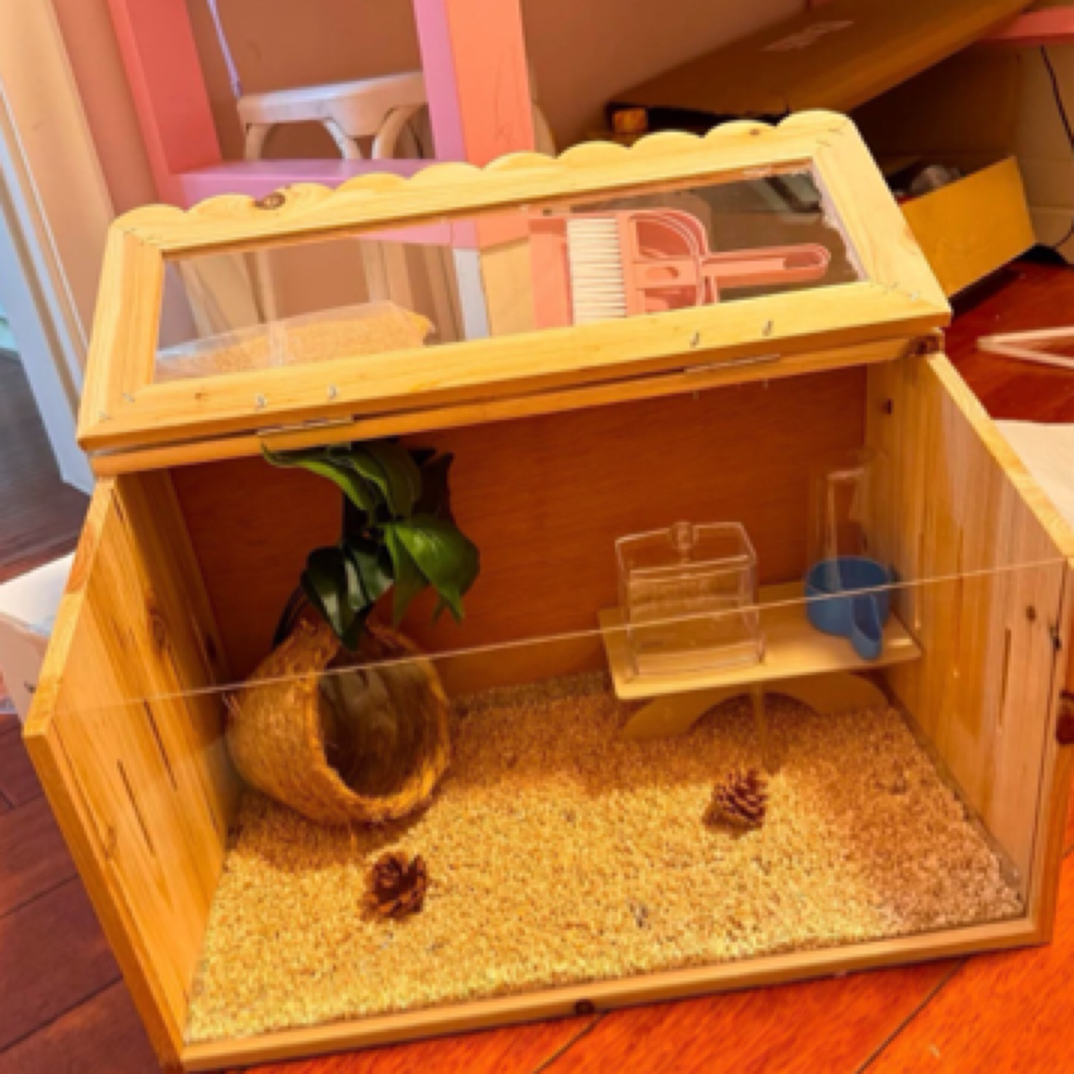 芦丁鸡饲养箱专用笼子小鸡育雏保温箱恒温造景小屋家用卢丁鸡养箱