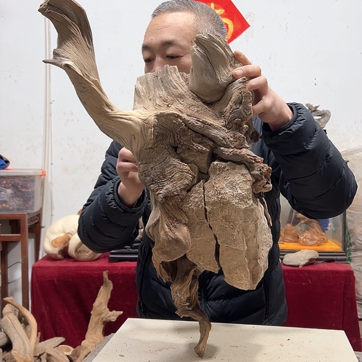 柏木一***韵我们的生活也是如此