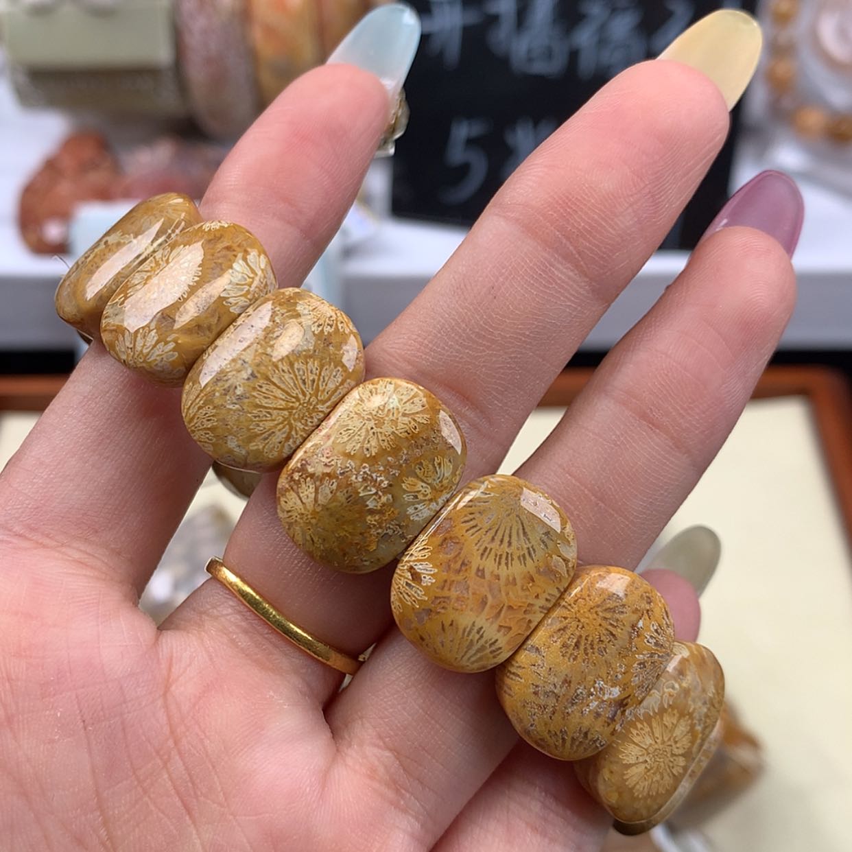 【闪购商品】硅化珊瑚（珊瑚玉）手镯未镶嵌高贵金皮花128漏68