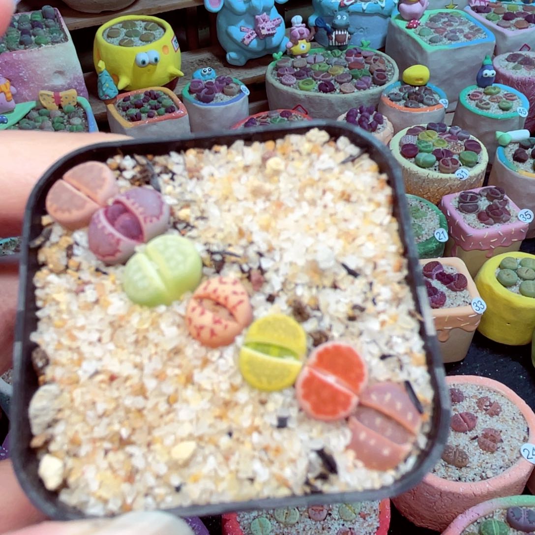 904。 8888888888888888888