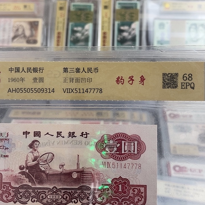 一元黄金树豹子号一张。小鑫。