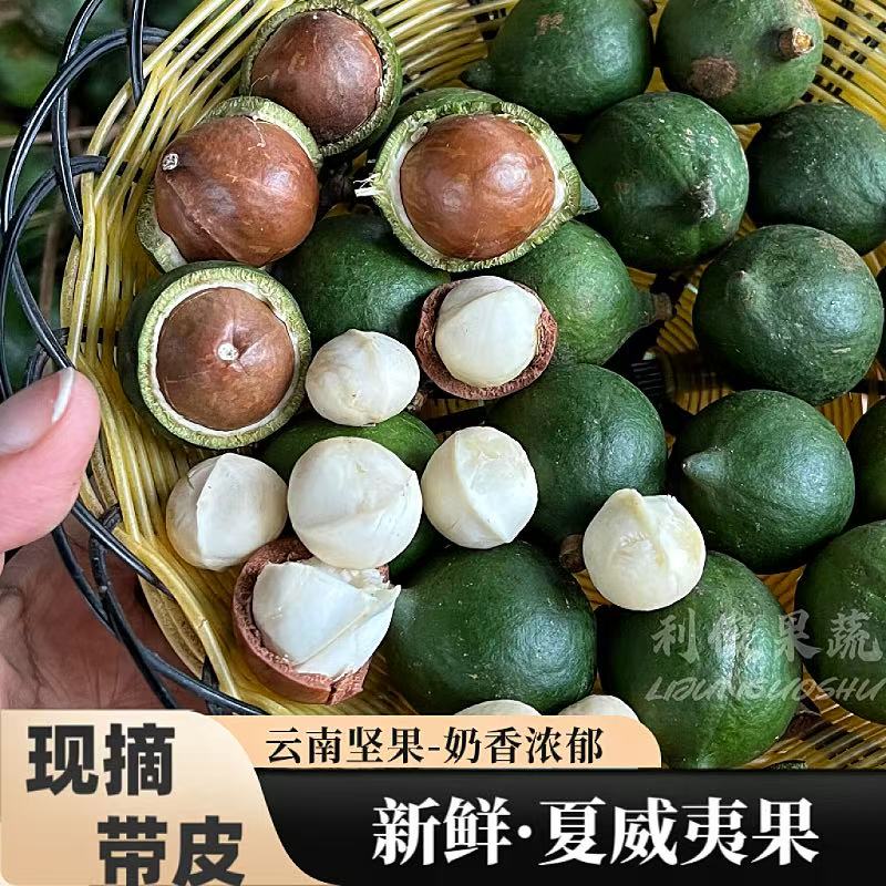 云南新鲜夏威夷果青皮火山豆澳洲坚果奶香原味水果整箱