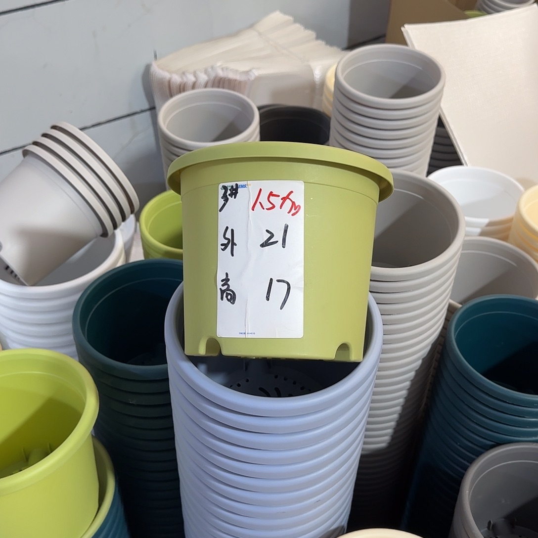 微瑕3号10个无托，果绿