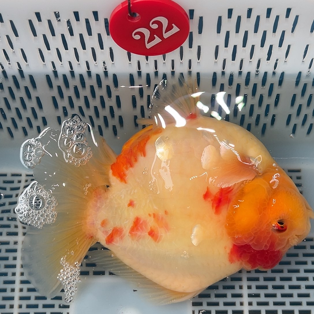岁***偷抖的一天又过去的快