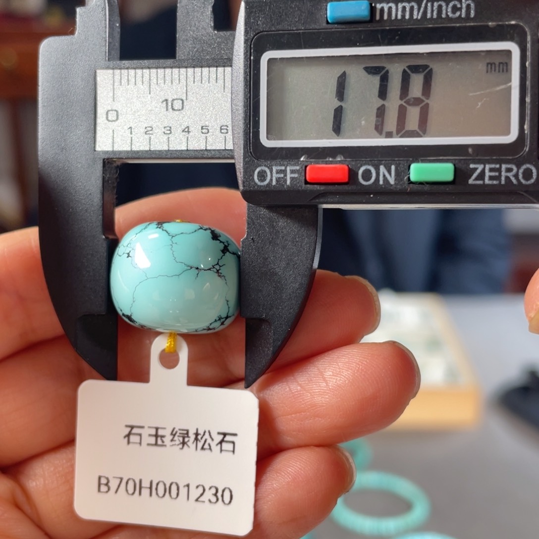 绿松石颈饰未镶嵌