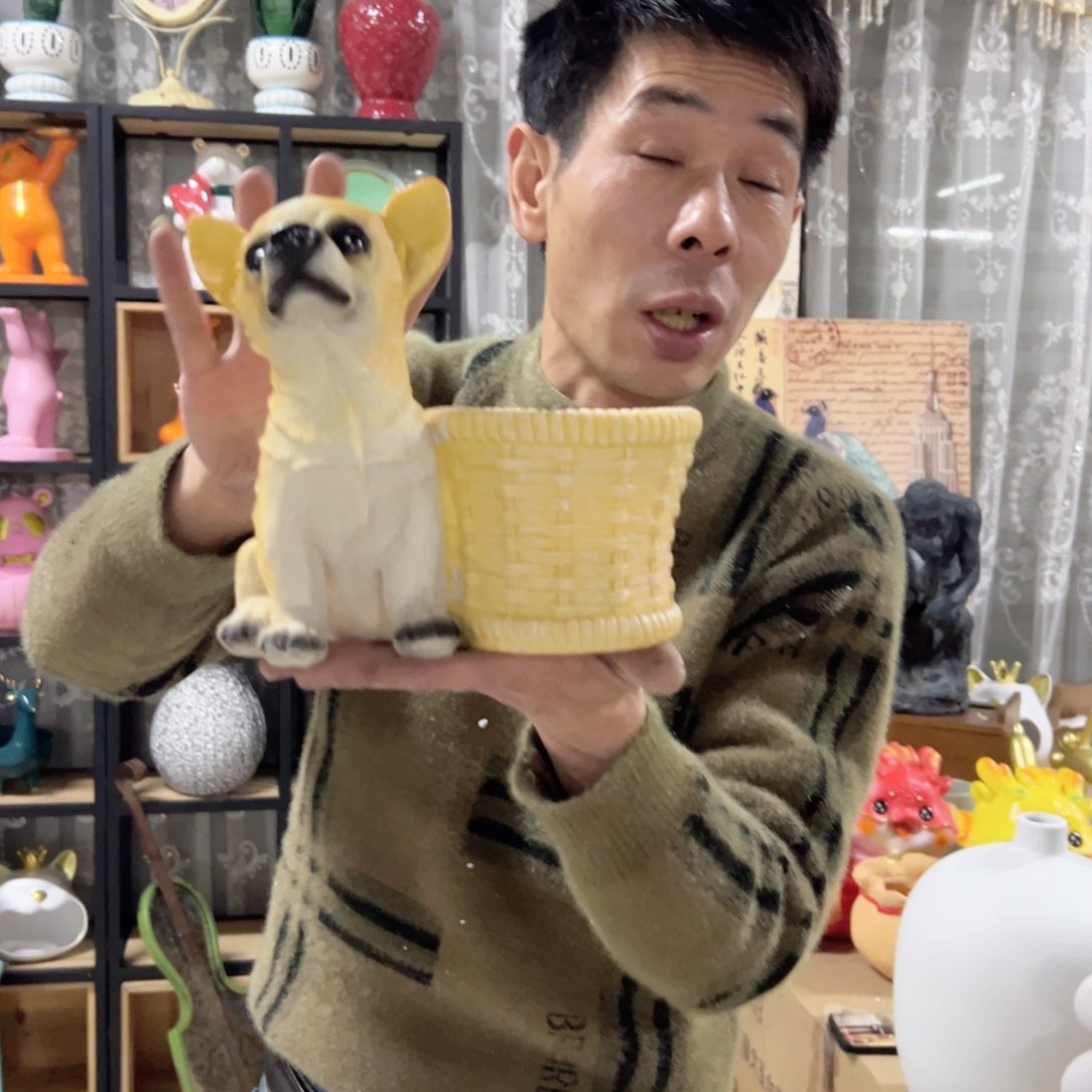 陶红陶红陶红陶红陶吉娃娃