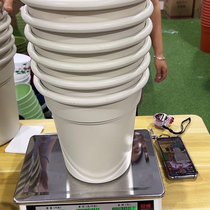 翻边口23高25米色无托6只