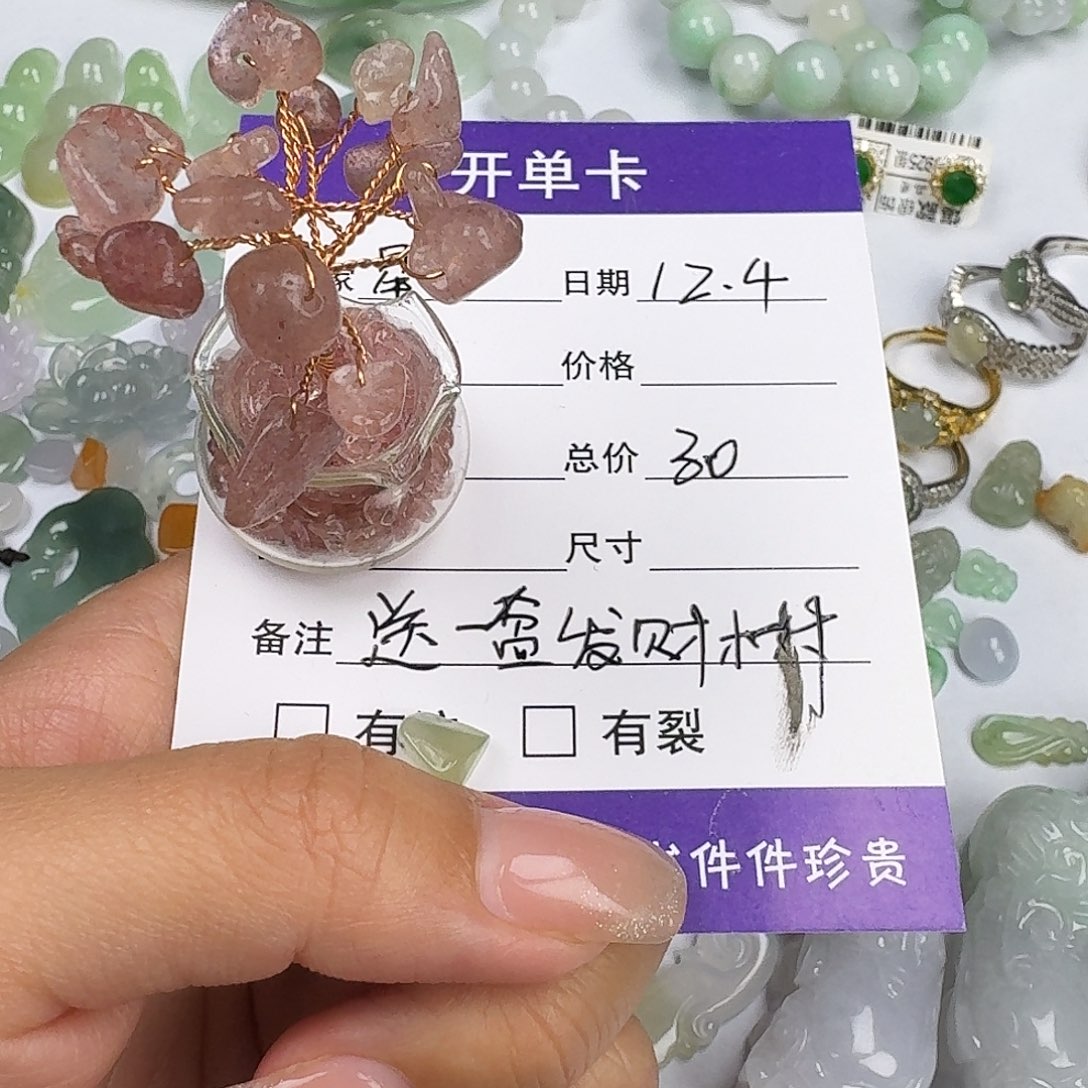 星***海翡翠未镶嵌颈饰33